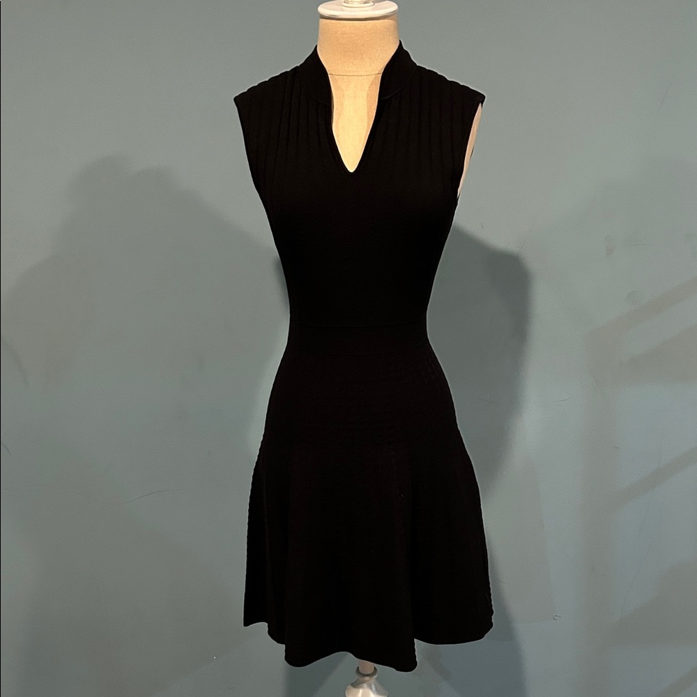 Ted Baker London Sharnn Stitch Detail Dress size 2 Black Skater Stretch